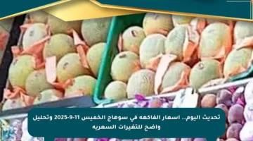 تحديث اليوم.. أسعار الفاكهة في سوهاج الخميس 11-9-2025 وتحليل واضح للتغيرات السعرية